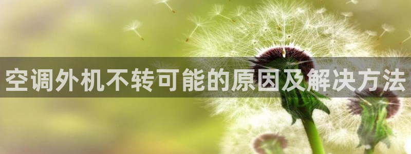 环球360论坛
