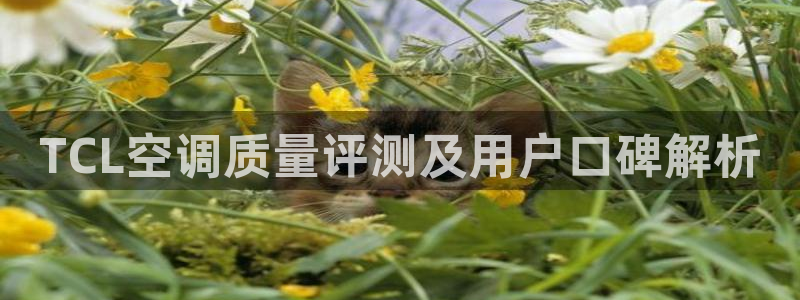环球360mt369:CC