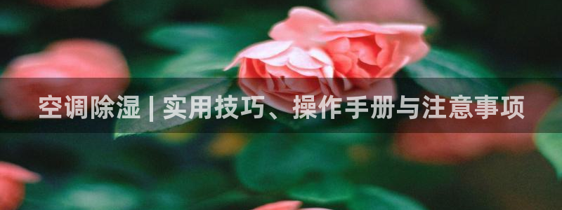 环球360官网会员注册流程图