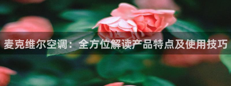 环球360代理