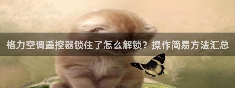 菲律宾环球360登陆网址是多少