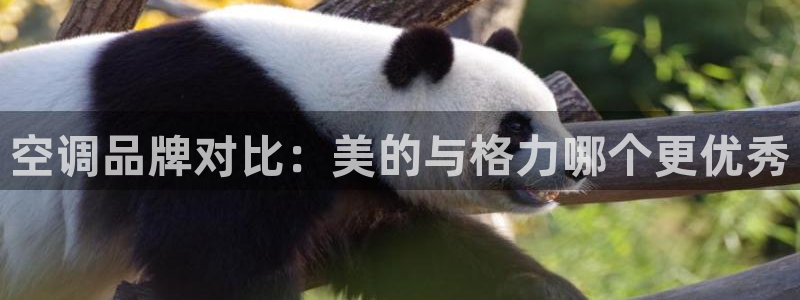 环球360官网手机版下载最新版安装