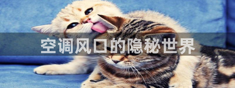环球360免费版