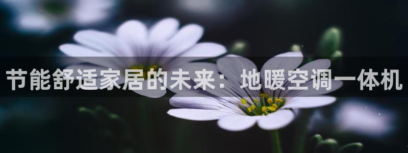 环球360国际