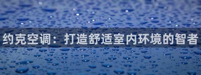 环球360分2009