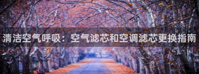 菲律宾环球360平台