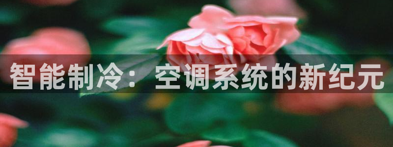 菲律宾环球360管理