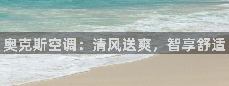 360环球国际